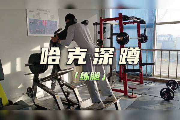 健身房一角,哈克深蹲机上空无一人,阳光照在金属配重片上